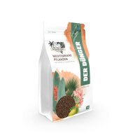 Palmenbrüder Mediterraner Dünger
